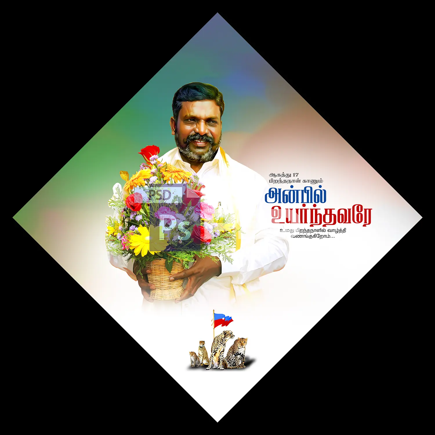 Image Preview
